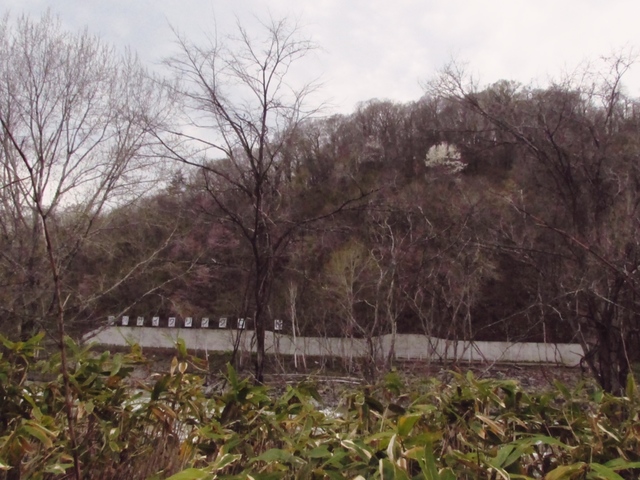 310507_02 009.JPG