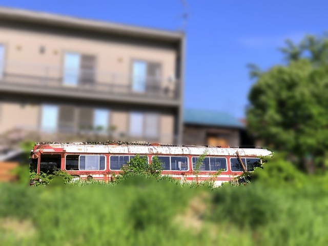310603_99 031.JPG