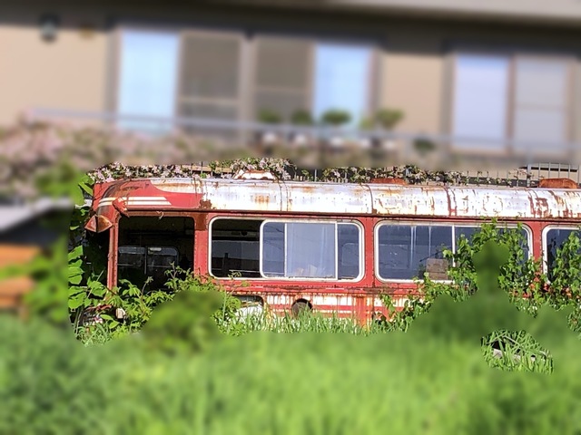 310603_99 032.JPG