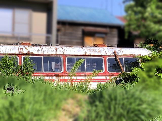 310603_99 033.JPG