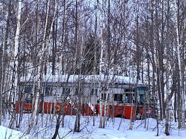 馬運車2.jpg