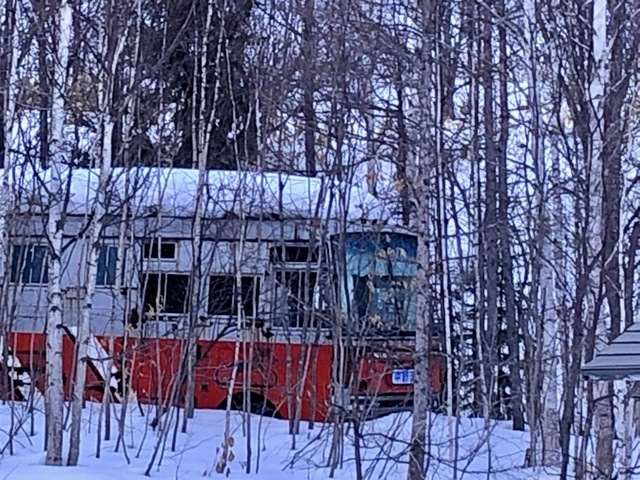 馬運車3.jpg