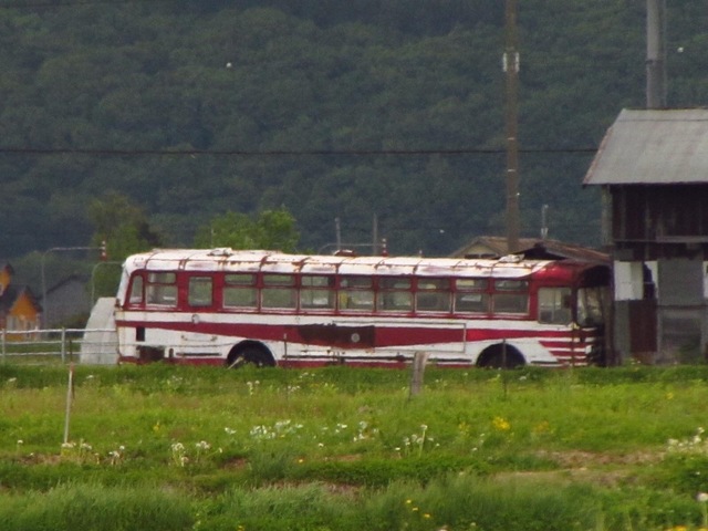 IMG_7484.JPG